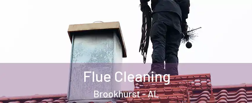 Flue Cleaning Brookhurst - AL