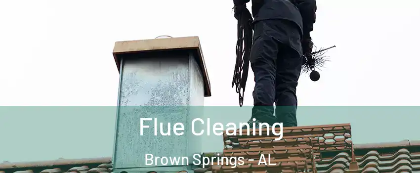 Flue Cleaning Brown Springs - AL