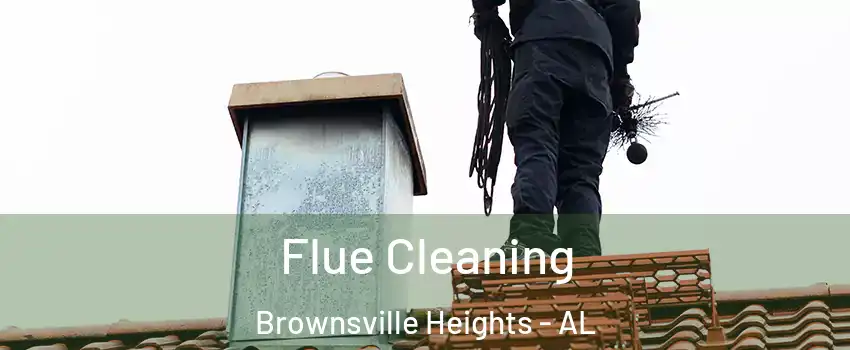Flue Cleaning Brownsville Heights - AL