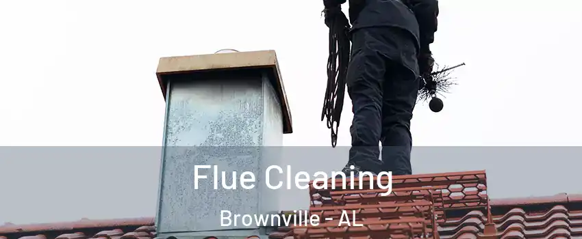 Flue Cleaning Brownville - AL