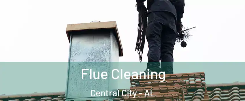 Flue Cleaning Central City - AL