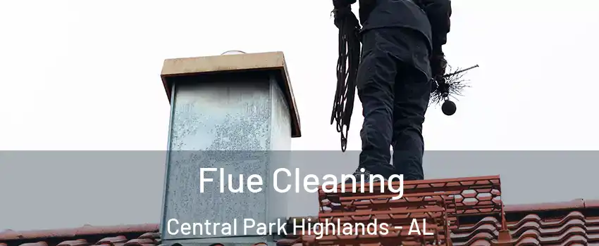 Flue Cleaning Central Park Highlands - AL