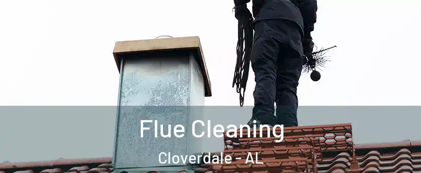 Flue Cleaning Cloverdale - AL