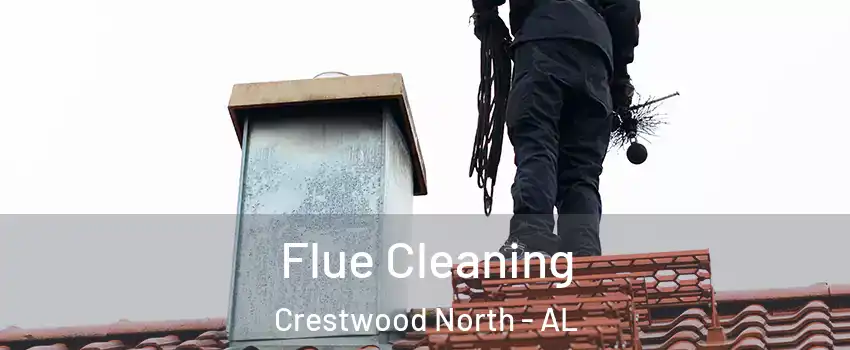 Flue Cleaning Crestwood North - AL