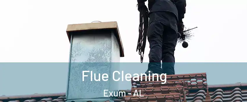 Flue Cleaning Exum - AL