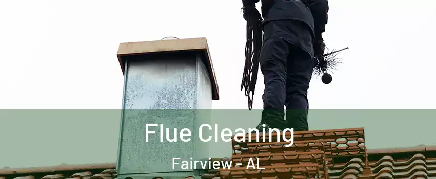 Flue Cleaning Fairview - AL