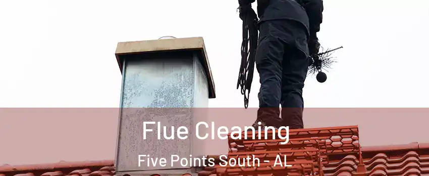 Flue Cleaning Five Points South - AL