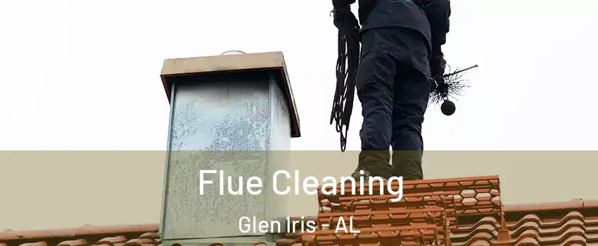 Flue Cleaning Glen Iris - AL