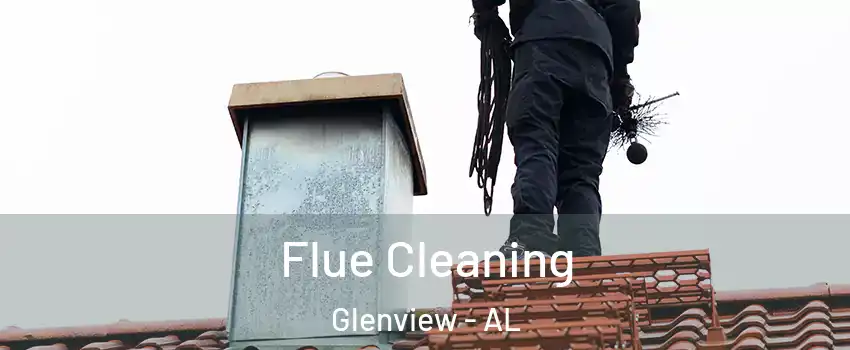 Flue Cleaning Glenview - AL