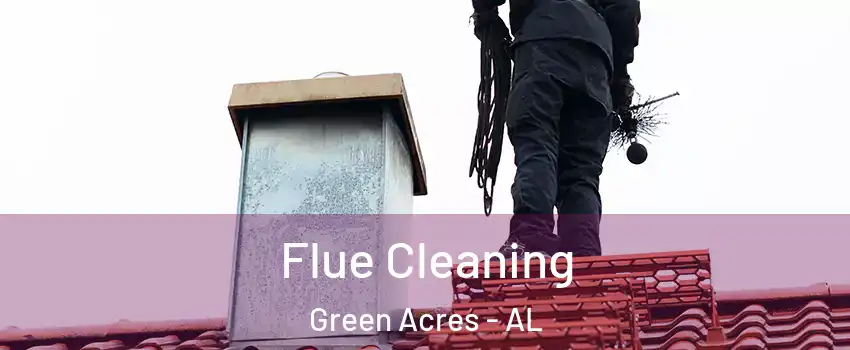 Flue Cleaning Green Acres - AL
