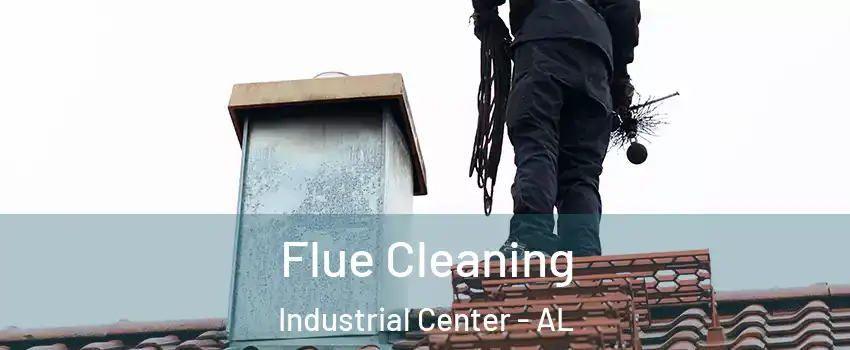 Flue Cleaning Industrial Center - AL