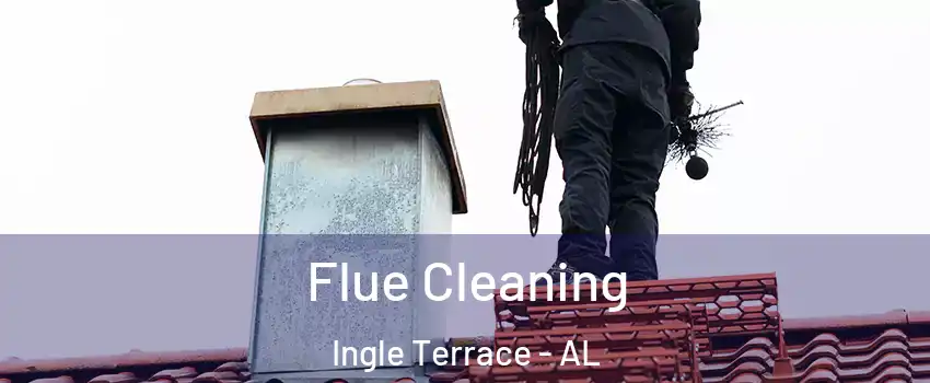 Flue Cleaning Ingle Terrace - AL