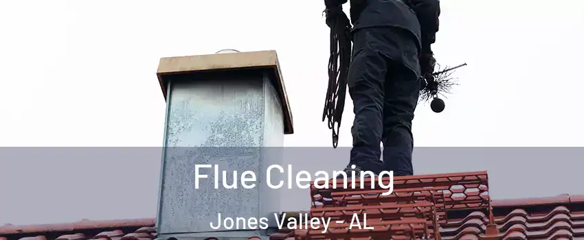 Flue Cleaning Jones Valley - AL