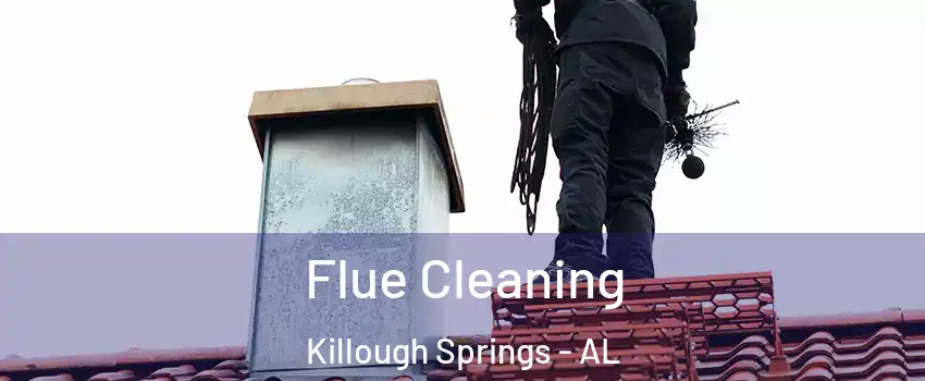 Flue Cleaning Killough Springs - AL