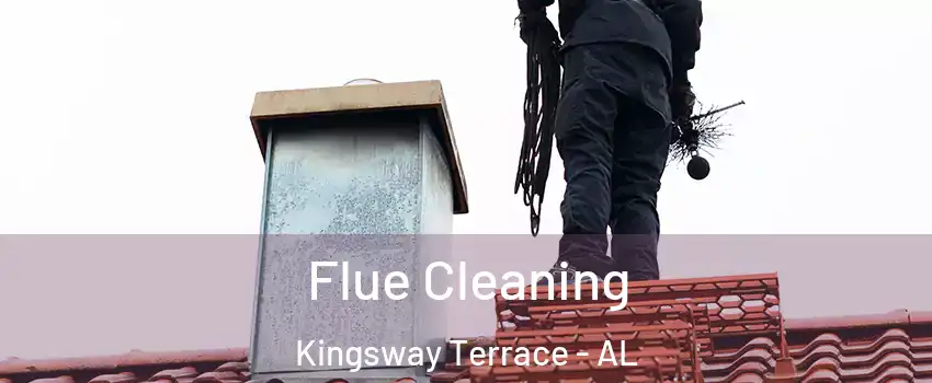 Flue Cleaning Kingsway Terrace - AL