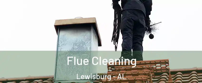 Flue Cleaning Lewisburg - AL