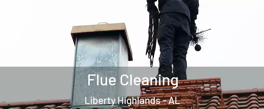 Flue Cleaning Liberty Highlands - AL