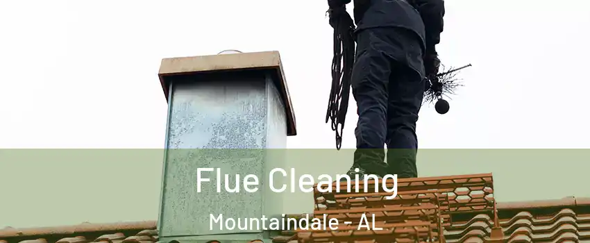 Flue Cleaning Mountaindale - AL