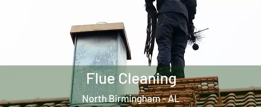 Flue Cleaning North Birmingham - AL