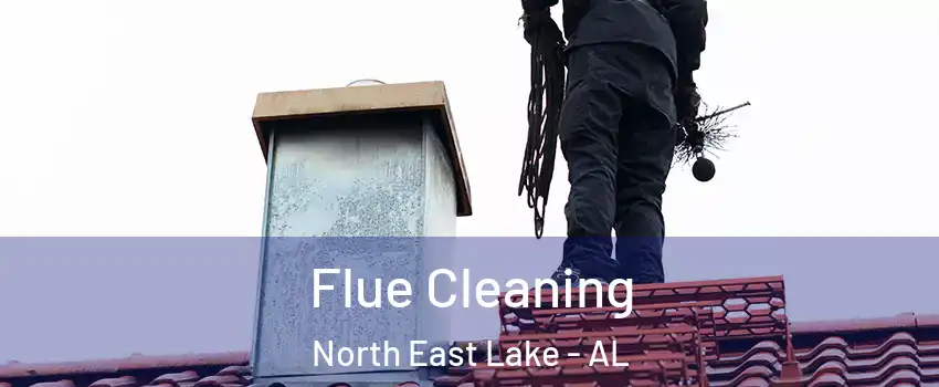 Flue Cleaning North East Lake - AL