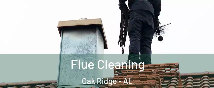 Flue Cleaning Oak Ridge - AL