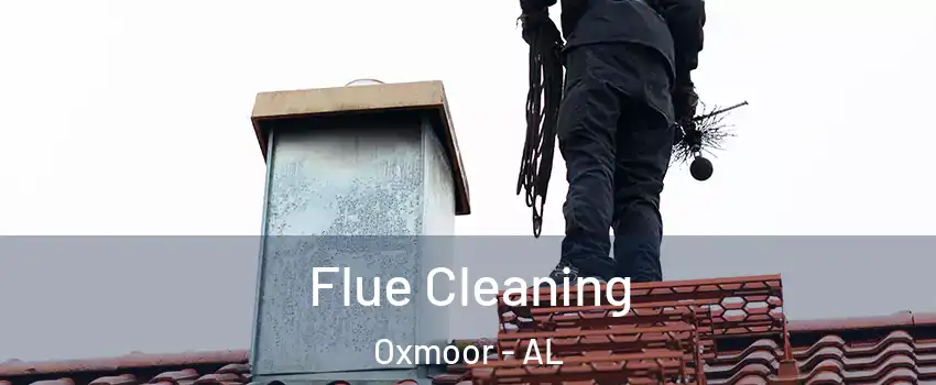 Flue Cleaning Oxmoor - AL