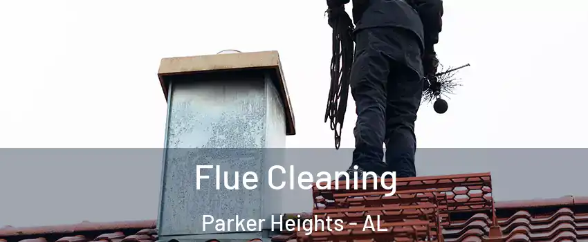 Flue Cleaning Parker Heights - AL