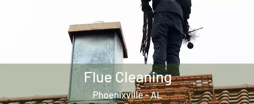 Flue Cleaning Phoenixville - AL