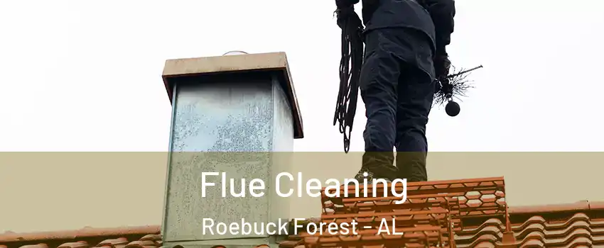 Flue Cleaning Roebuck Forest - AL