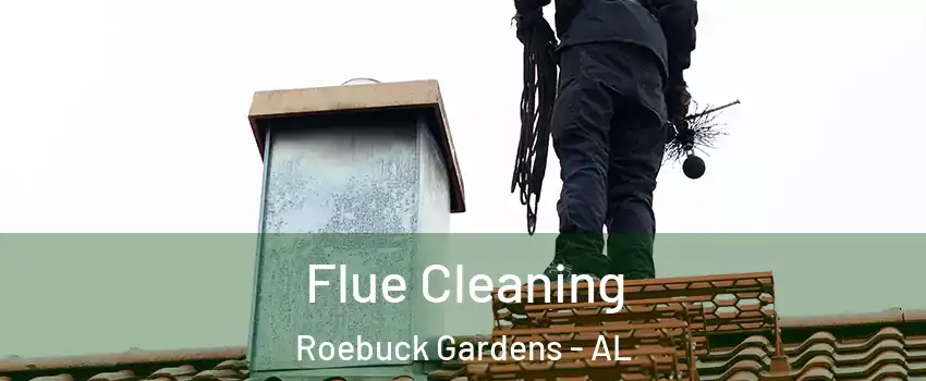 Flue Cleaning Roebuck Gardens - AL