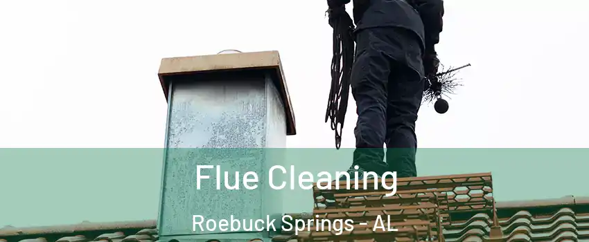 Flue Cleaning Roebuck Springs - AL