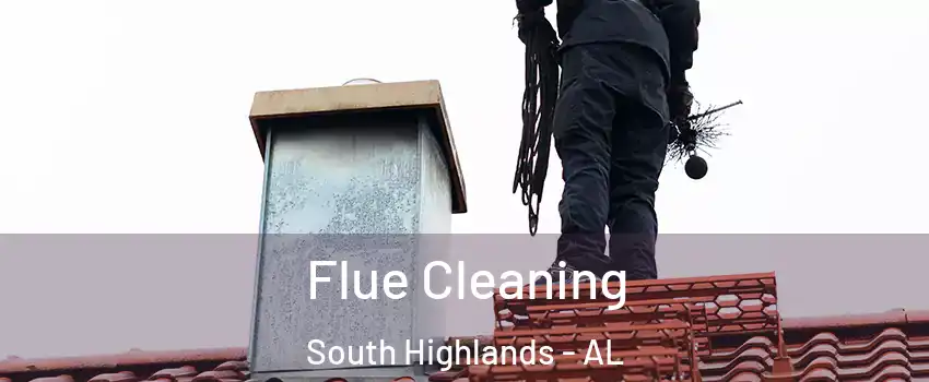 Flue Cleaning South Highlands - AL