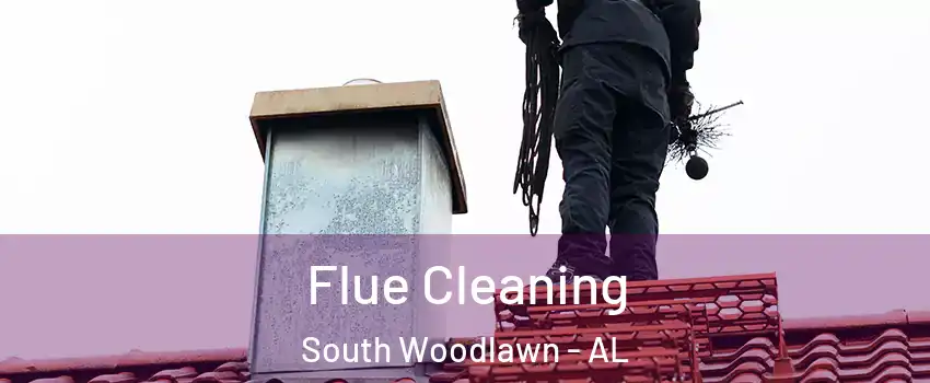 Flue Cleaning South Woodlawn - AL
