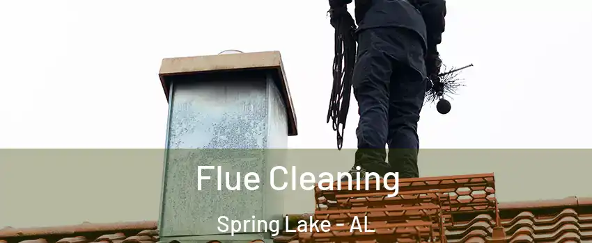 Flue Cleaning Spring Lake - AL