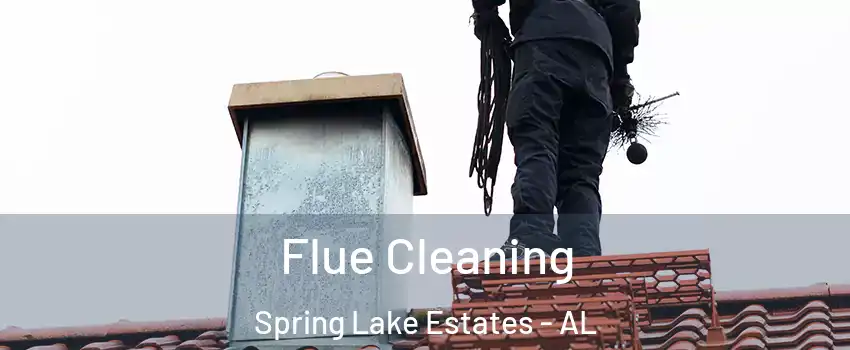 Flue Cleaning Spring Lake Estates - AL