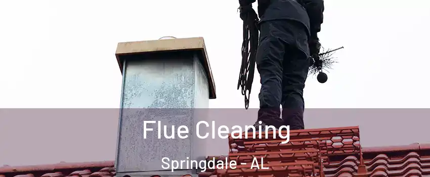 Flue Cleaning Springdale - AL
