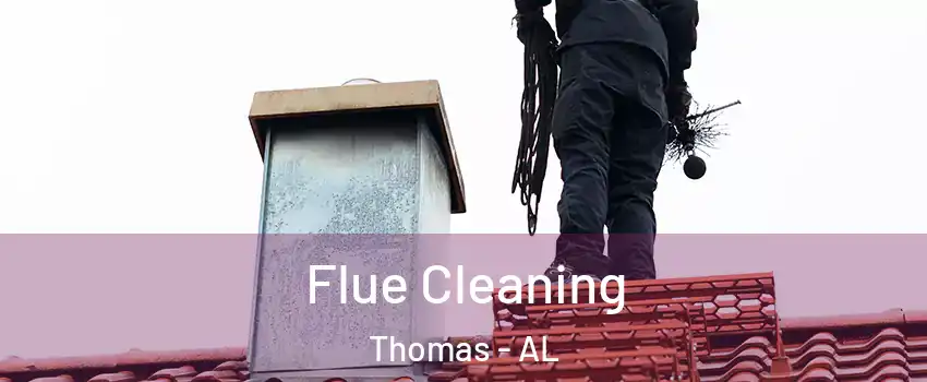 Flue Cleaning Thomas - AL