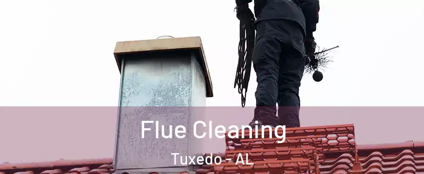 Flue Cleaning Tuxedo - AL