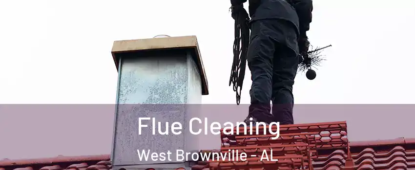Flue Cleaning West Brownville - AL