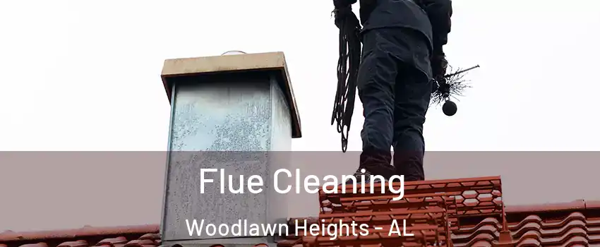 Flue Cleaning Woodlawn Heights - AL