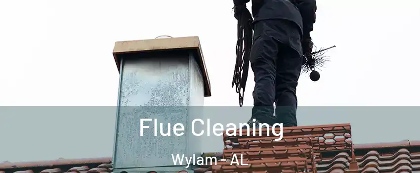 Flue Cleaning Wylam - AL