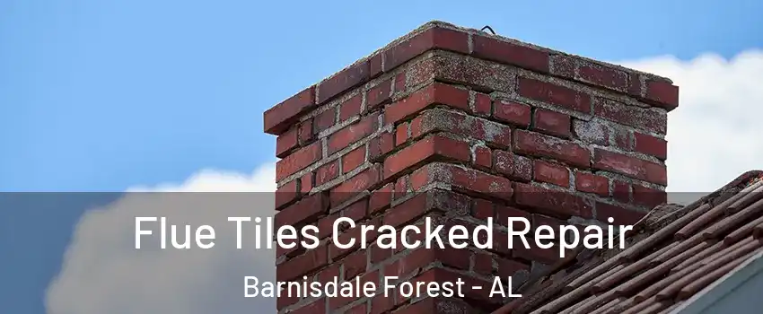 Flue Tiles Cracked Repair Barnisdale Forest - AL
