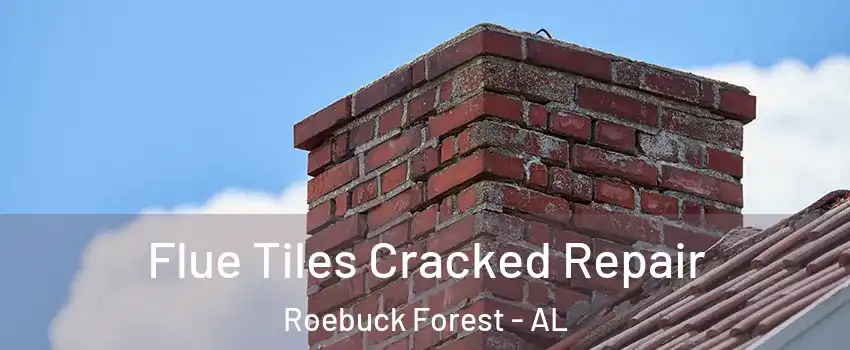 Flue Tiles Cracked Repair Roebuck Forest - AL