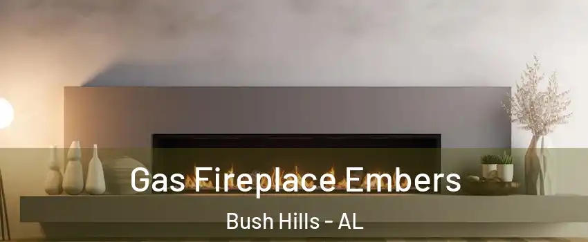 Gas Fireplace Embers Bush Hills - AL