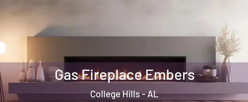 Gas Fireplace Embers College Hills - AL
