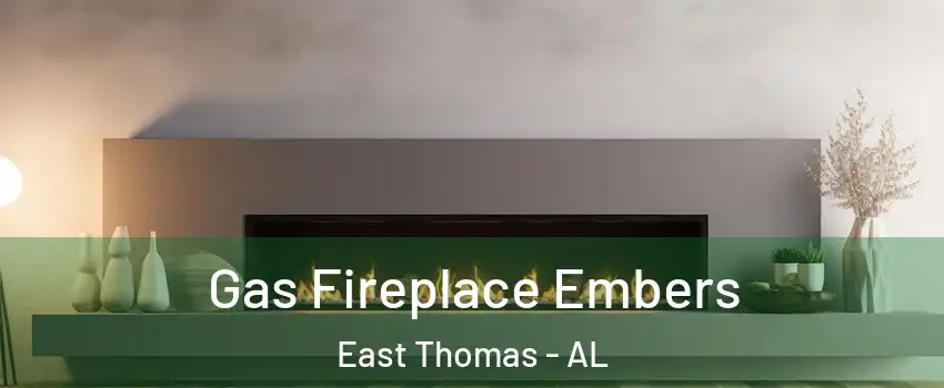 Gas Fireplace Embers East Thomas - AL