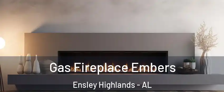 Gas Fireplace Embers Ensley Highlands - AL