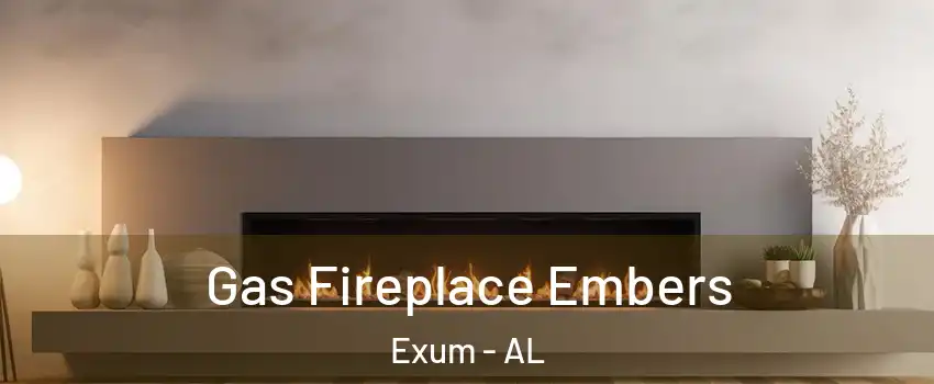 Gas Fireplace Embers Exum - AL