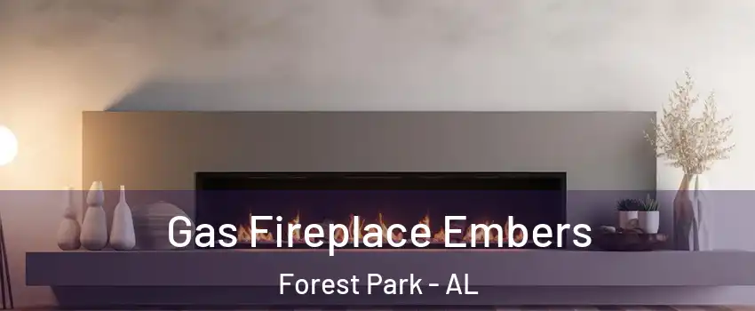 Gas Fireplace Embers Forest Park - AL