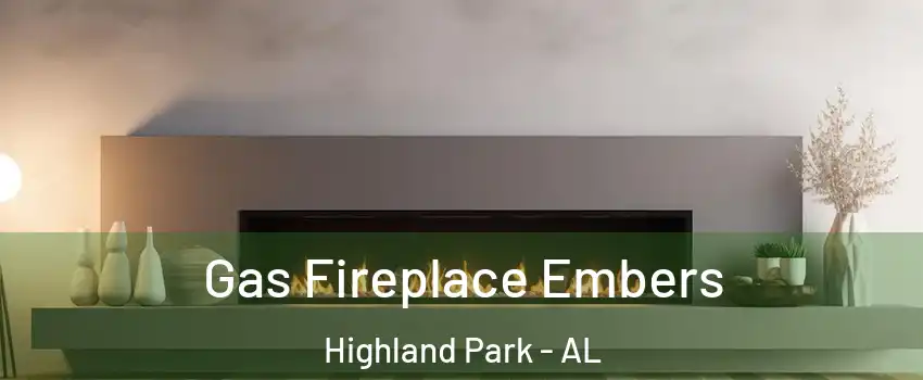 Gas Fireplace Embers Highland Park - AL